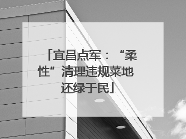 宜昌点军：“柔性”清理违规菜地 还绿于民