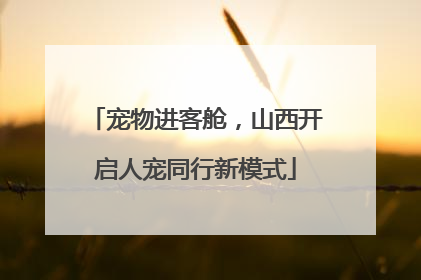 宠物进客舱，山西开启人宠同行新模式