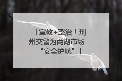 宣教+整治！荆州交警为两湖市场“安全护航”