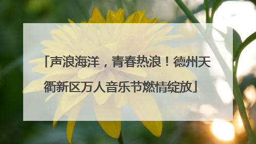 声浪海洋，青春热浪！德州天衢新区万人音乐节燃情绽放