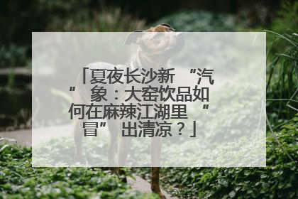 夏夜长沙新 “汽” 象：大窑饮品如何在麻辣江湖里 “冒” 出清凉？