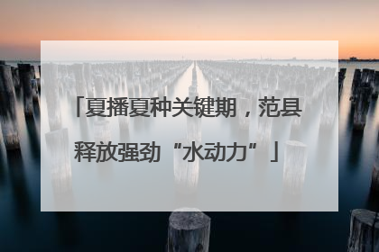夏播夏种关键期，范县释放强劲“水动力”