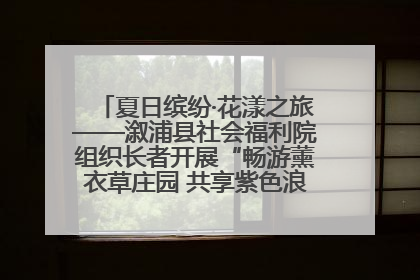 夏日缤纷·花漾之旅——溆浦县社会福利院组织长者开展“畅游薰衣草庄园 共享紫色浪漫”户外活动