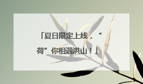 夏日限定上线，“荷”你相遇洪山！