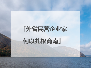 外省民营企业家何以扎根商南