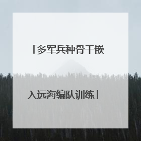 多军兵种骨干嵌入远海编队训练