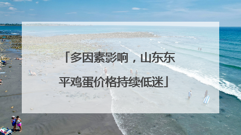 多因素影响，山东东平鸡蛋价格持续低迷