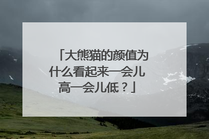 大熊猫的颜值为什么看起来一会儿高一会儿低？