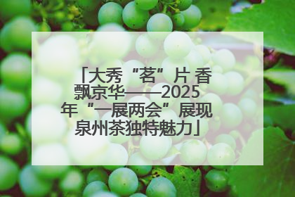 大秀“茗”片 香飘京华——2025年“一展两会”展现泉州茶独特魅力