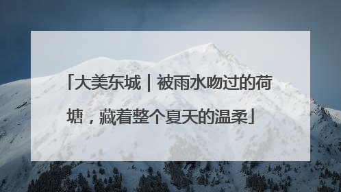 大美东城｜被雨水吻过的荷塘，藏着整个夏天的温柔