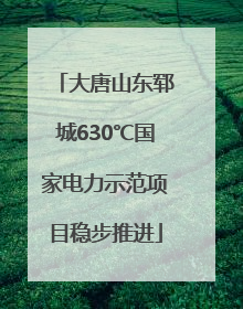 大唐山东郓城630℃国家电力示范项目稳步推进