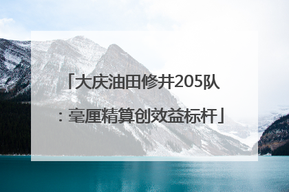 大庆油田修井205队：毫厘精算创效益标杆