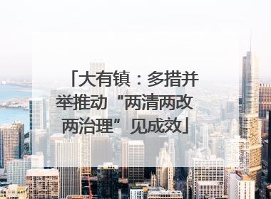 大有镇：多措并举推动“两清两改两治理”见成效