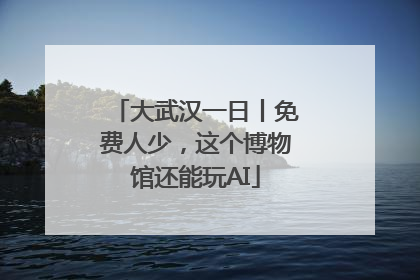 大武汉一日丨免费人少，这个博物馆还能玩AI