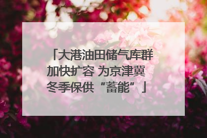 大港油田储气库群加快扩容 为京津冀冬季保供“蓄能”