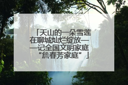 天山的一朵雪莲在聊城灿烂绽放——记全国文明家庭“詹春芳家庭”