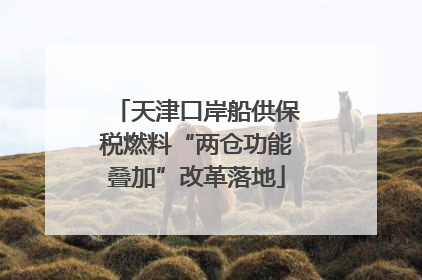 天津口岸船供保税燃料“两仓功能叠加”改革落地