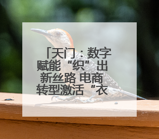 天门：数字赋能“织”出新丝路 电商转型激活“衣”产业