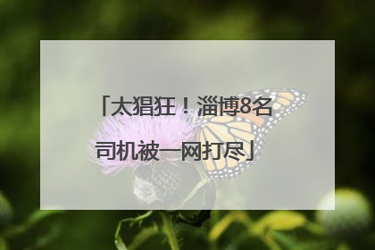 太猖狂！淄博8名司机被一网打尽