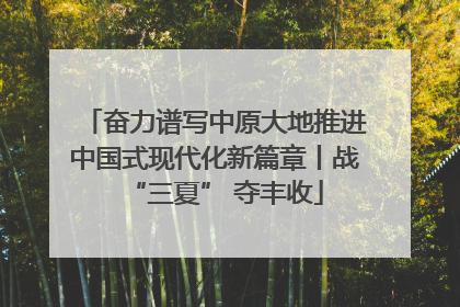 奋力谱写中原大地推进中国式现代化新篇章丨战“三夏” 夺丰收