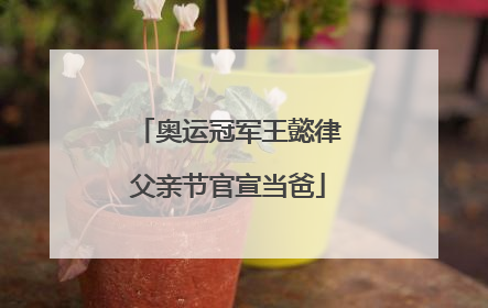 奥运冠军王懿律父亲节官宣当爸