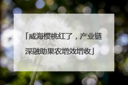 威海樱桃红了，产业链深融助果农增效增收