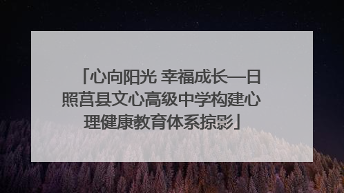 心向阳光 幸福成长—日照莒县文心高级中学构建心理健康教育体系掠影