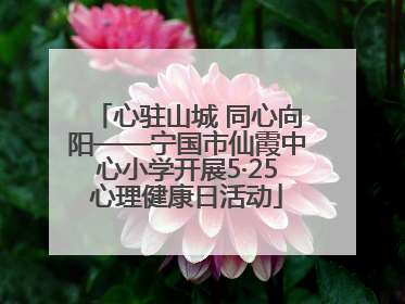 心驻山城 同心向阳——宁国市仙霞中心小学开展5·25心理健康日活动