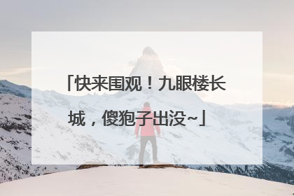 快来围观！九眼楼长城，傻狍子出没~