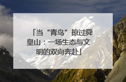 当“青鸟”掠过舜皇山：一场生态与文明的双向奔赴
