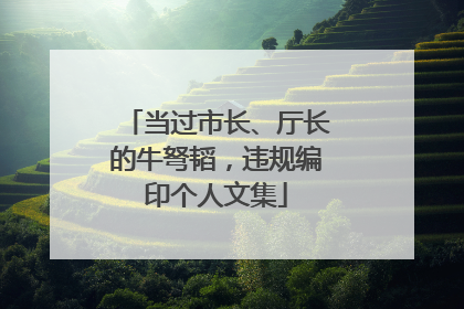 当过市长、厅长的牛弩韬，违规编印个人文集
