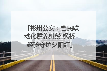 彬州公安：警民联动化赡养纠纷 枫桥经验守护夕阳红