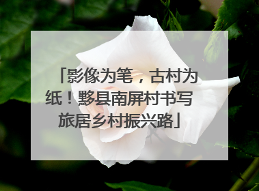 影像为笔，古村为纸！黟县南屏村书写旅居乡村振兴路
