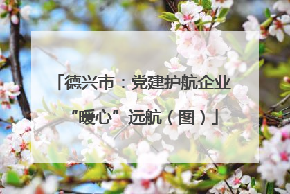 德兴市：党建护航企业“暖心”远航（图）