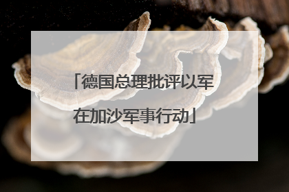 德国总理批评以军在加沙军事行动
