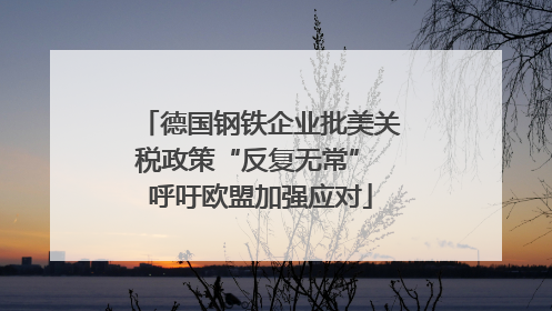 德国钢铁企业批美关税政策“反复无常” 呼吁欧盟加强应对