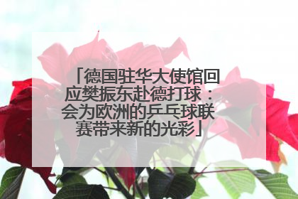 德国驻华大使馆回应樊振东赴德打球：会为欧洲的乒乓球联赛带来新的光彩