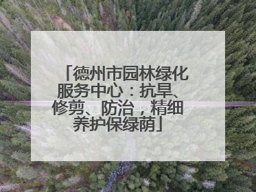 德州市园林绿化服务中心：抗旱、修剪、防治，精细养护保绿荫