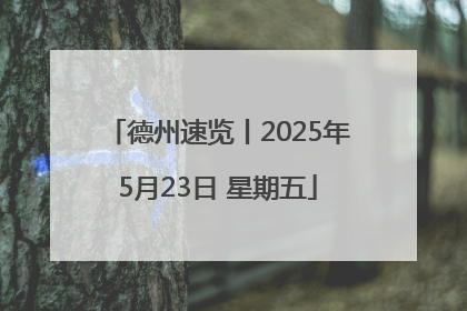 德州速览丨2025年5月23日 星期五