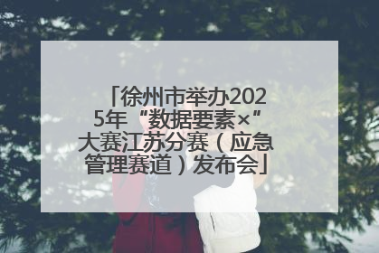 徐州市举办2025年“数据要素×”大赛江苏分赛（应急管理赛道）发布会