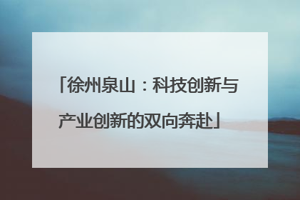 徐州泉山：科技创新与产业创新的双向奔赴