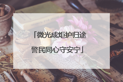 微光成炬护归途 警民同心守安宁