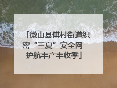 微山县傅村街道织密“三夏”安全网 护航丰产丰收季