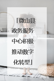 微山县政务服务中心积极推动数字化转型