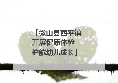 微山县西平镇开展健康体检 护航幼儿成长