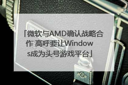 微软与AMD确认战略合作 高呼要让Windows成为头号游戏平台