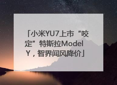 小米YU7上市“咬定”特斯拉Model Y，智界闻风降价