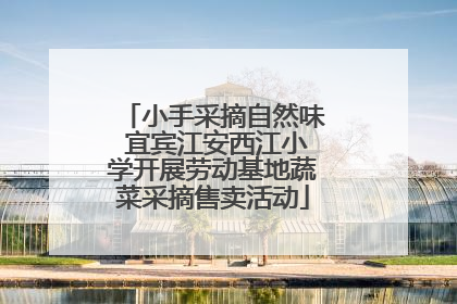 小手采摘自然味 宜宾江安西江小学开展劳动基地蔬菜采摘售卖活动