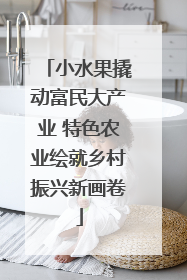 小水果撬动富民大产业 特色农业绘就乡村振兴新画卷