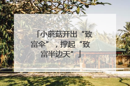 小蘑菇开出“致富伞”，撑起“致富半边天”
